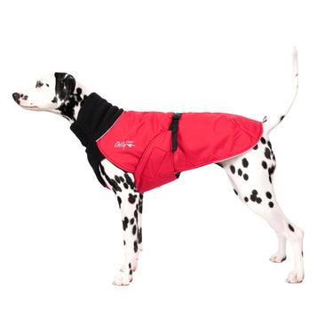 Great White North Red Shell - LAST CHANCE!
